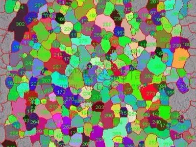 如何進行晶粒度分析