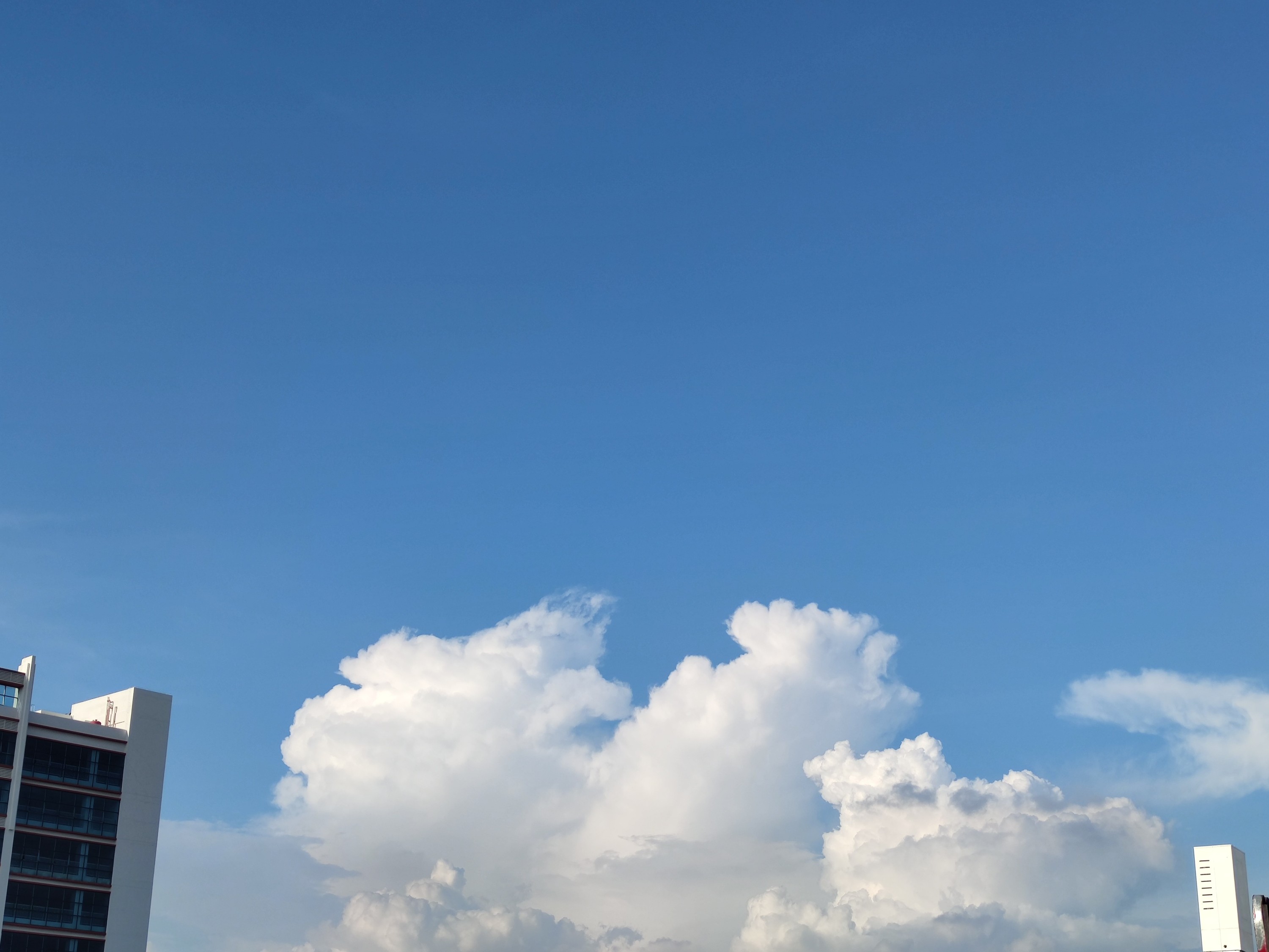 前進的同時別忘了學(xué)習(xí)